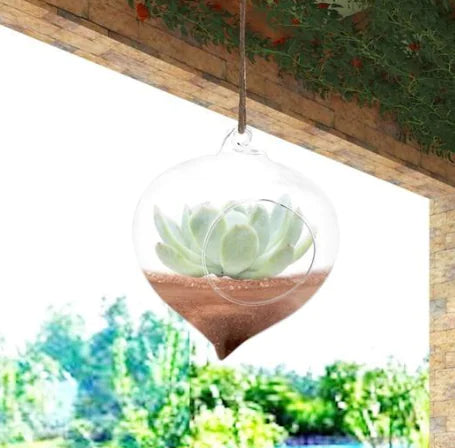 Glass Hydroponic Container, Hanging Flower Pot Decor