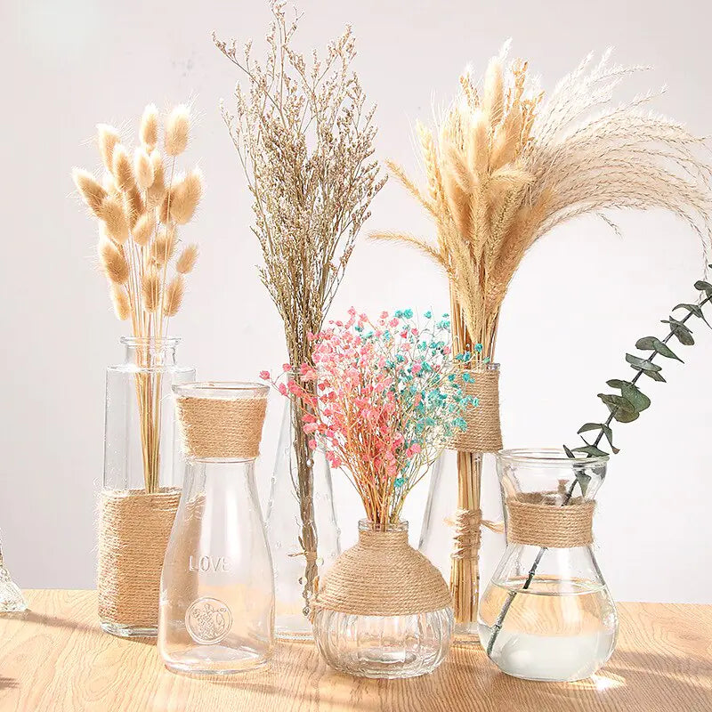 Creative Glass Vase for Home Decor with Plants