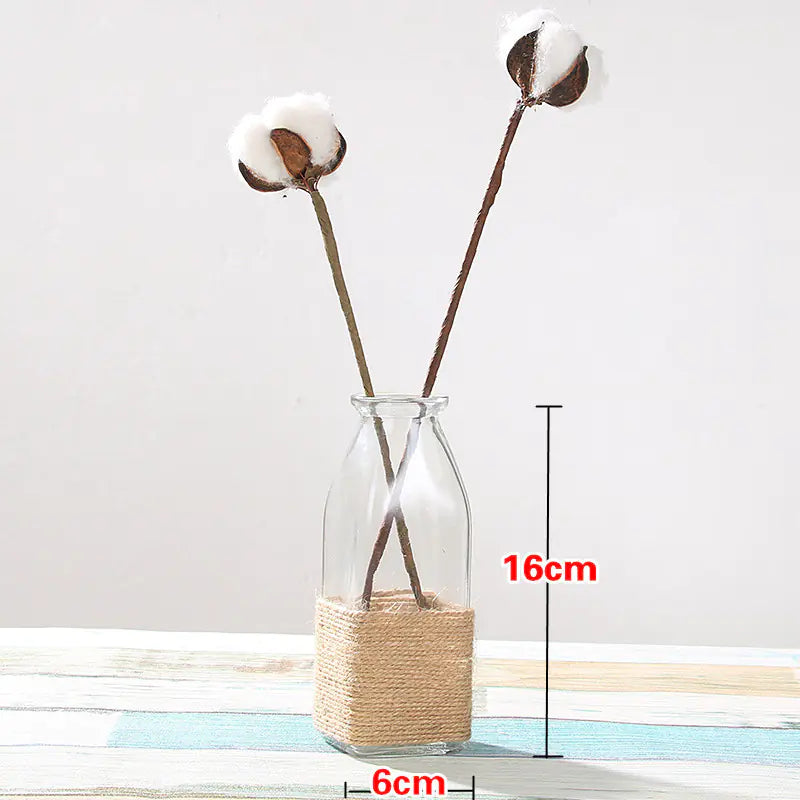 Creative Glass Vase for Home Decor with Plants