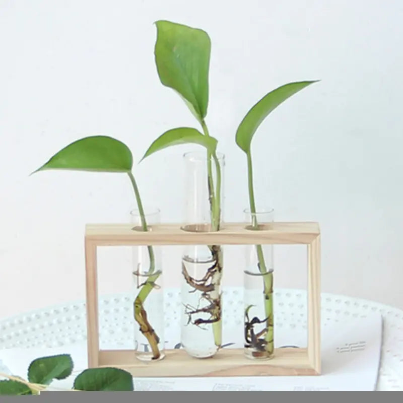 Fresh Style Wooden Hydroponic Glass Vase Decor