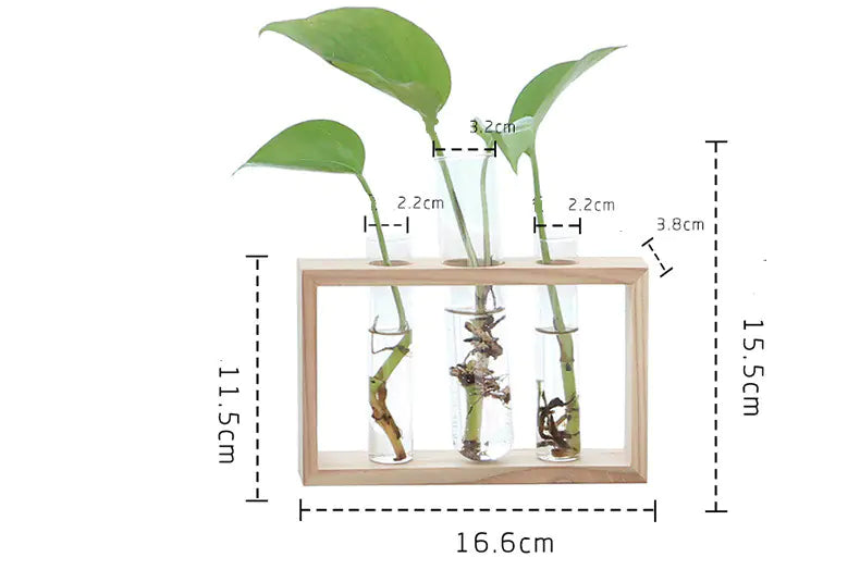 Fresh Style Wooden Hydroponic Glass Vase Decor