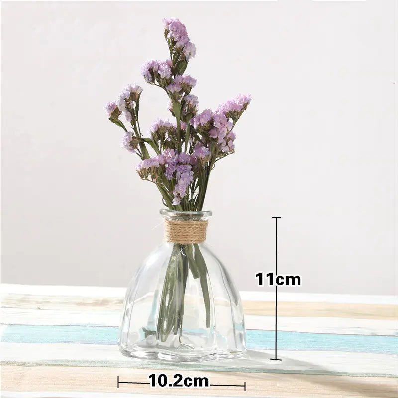 Creative Glass Vase for Home Decor with Plants