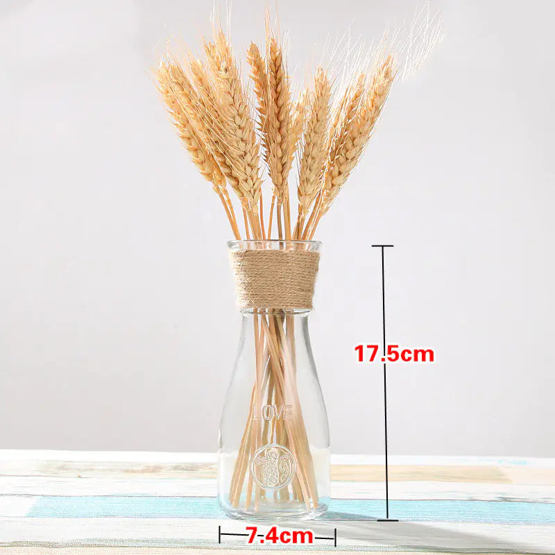 Creative Glass Vase for Home Decor with Plants