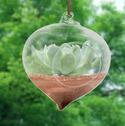Glass Hydroponic Container, Hanging Flower Pot Decor