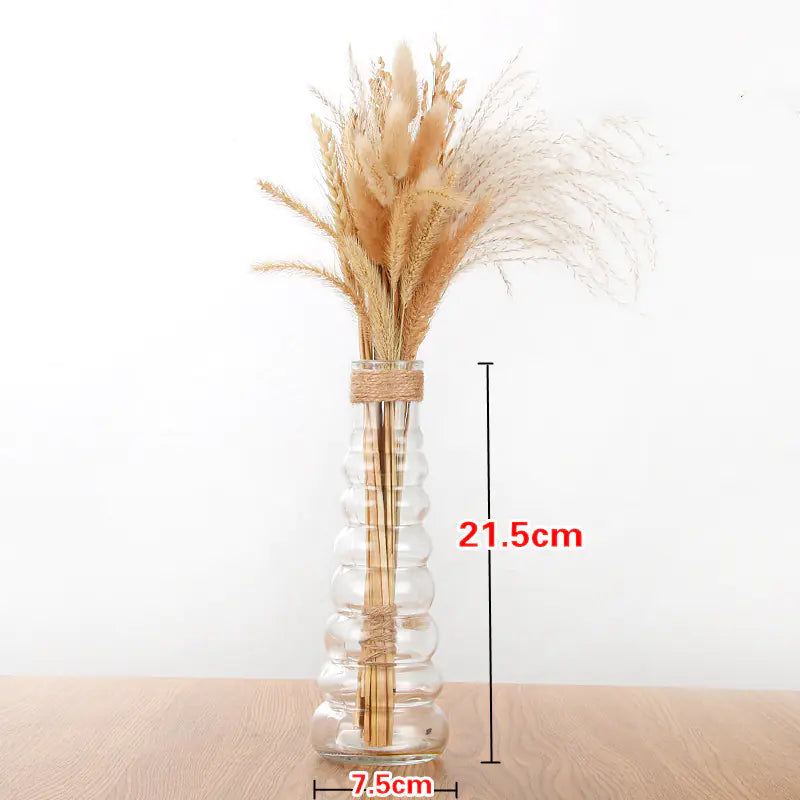 Creative Glass Vase for Home Decor with Plants
