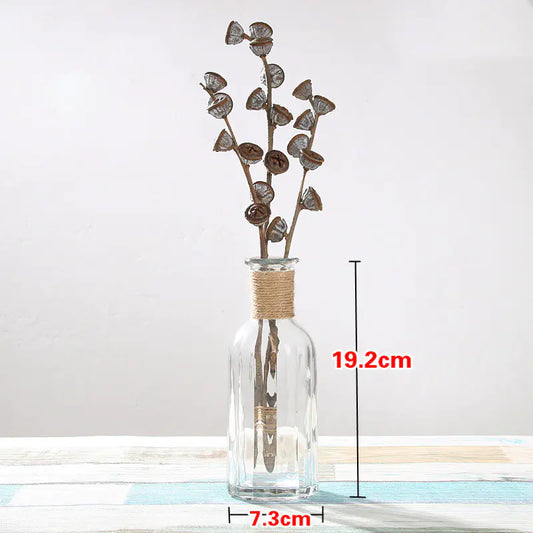 Creative Glass Vase for Home Decor with Plants